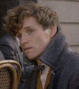 newt scamander